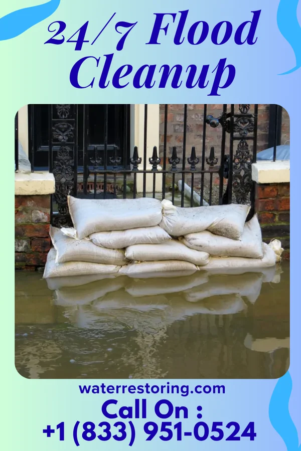 24/7 Flood Cleanup in Plainview, MN