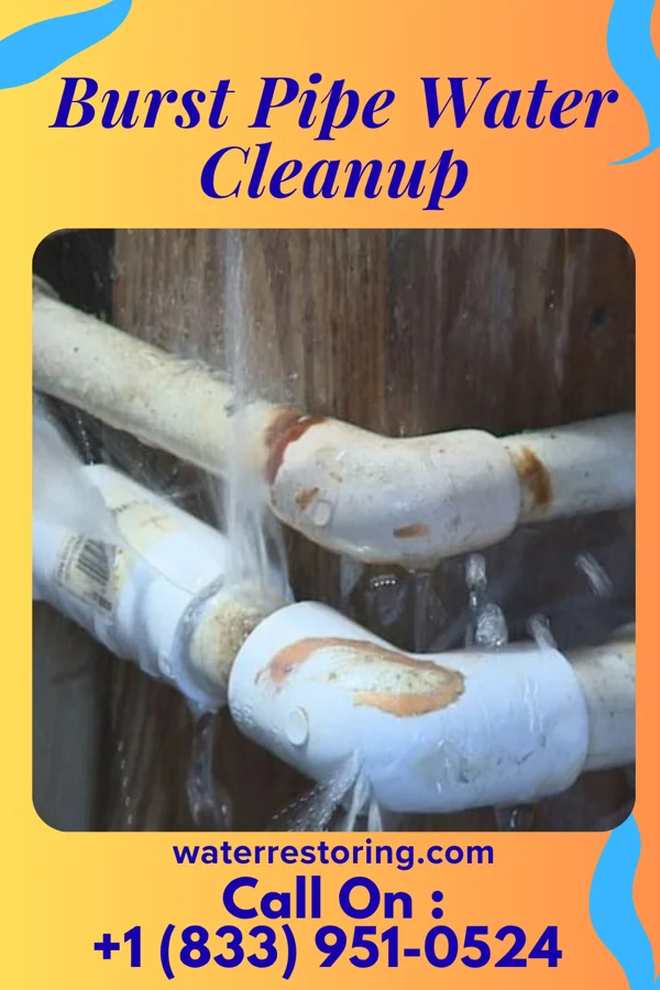 Burst Pipe Water Cleanup in Plainview, MN