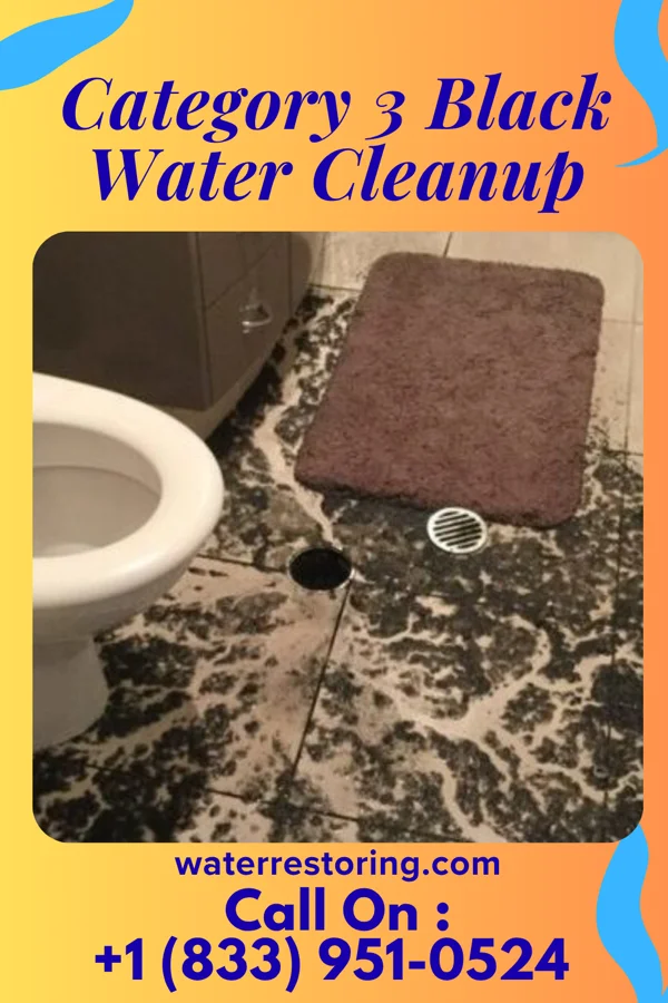 Category 3 Black Water Cleanup in Plainview, MN