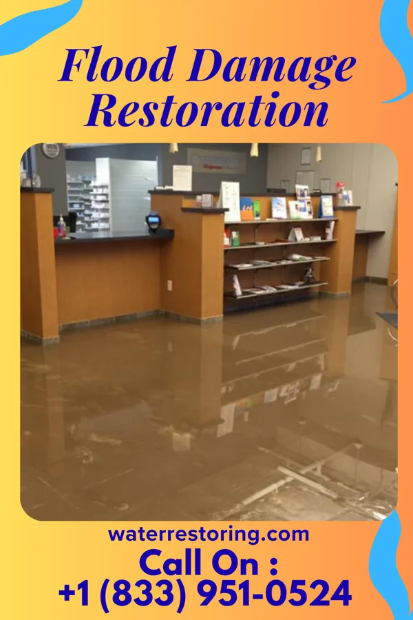 Flood Damage Restoration in Plainview, MN