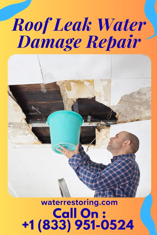 Roof Leak Water Damage Repair in Plainview, MN